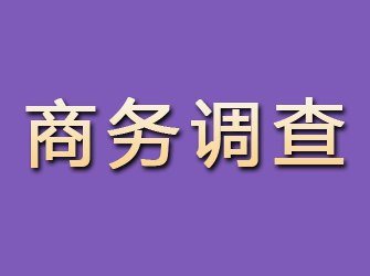 桃城商务调查